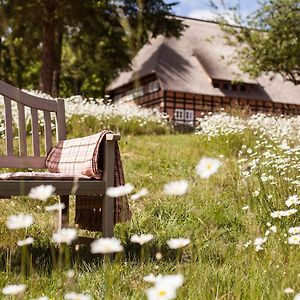 Park am See, HOTEL SPORT SPIRIT